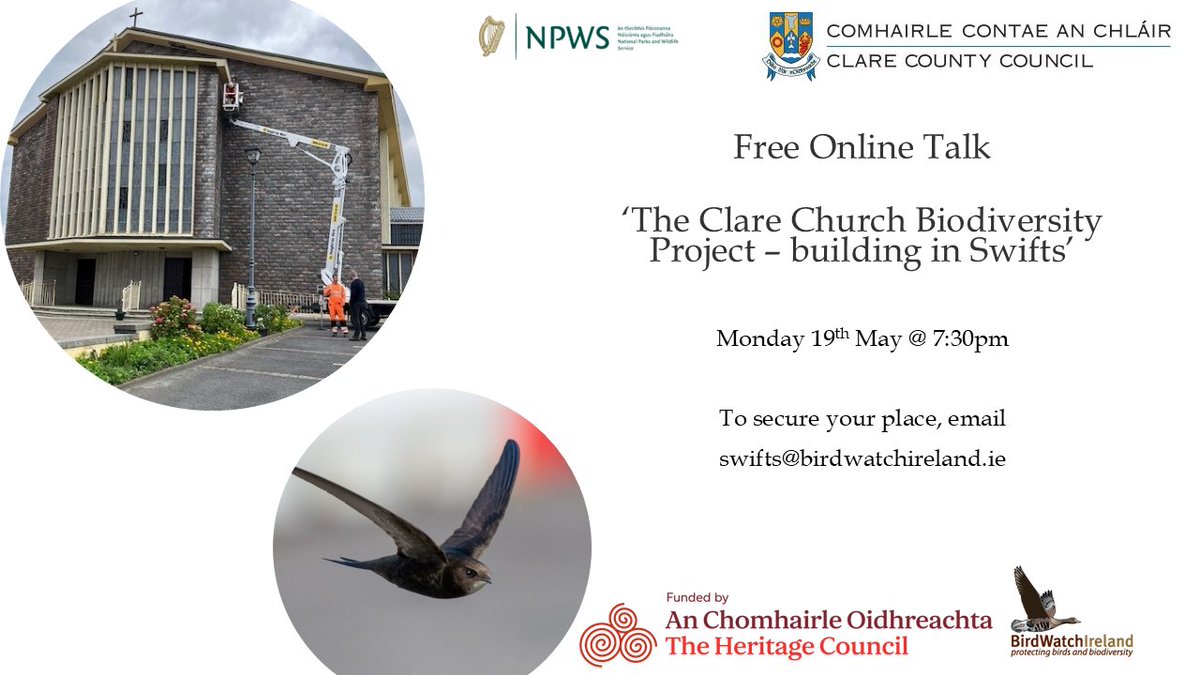 Greener Clare (@greenerclare) on Twitter photo Our Swifts Online Webinar takes place this evening at 7:30pm. Please email swifts@birdwatchireland.ie for the zoom link. Our Swifts Online Webinar takes place this evening at 7:30pm. Please email swifts@birdwatchireland.ie for the zoom link.