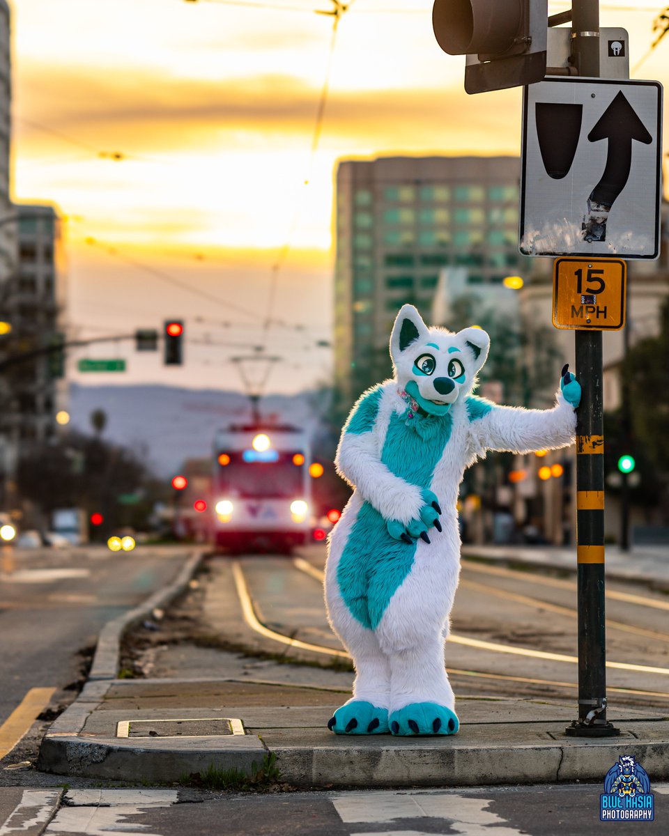 Blue Hasia Photography (@bluehasia) on Twitter photo 