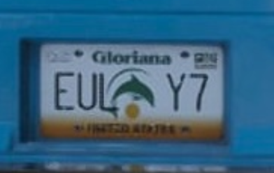 TREVOR4REAL tweet media