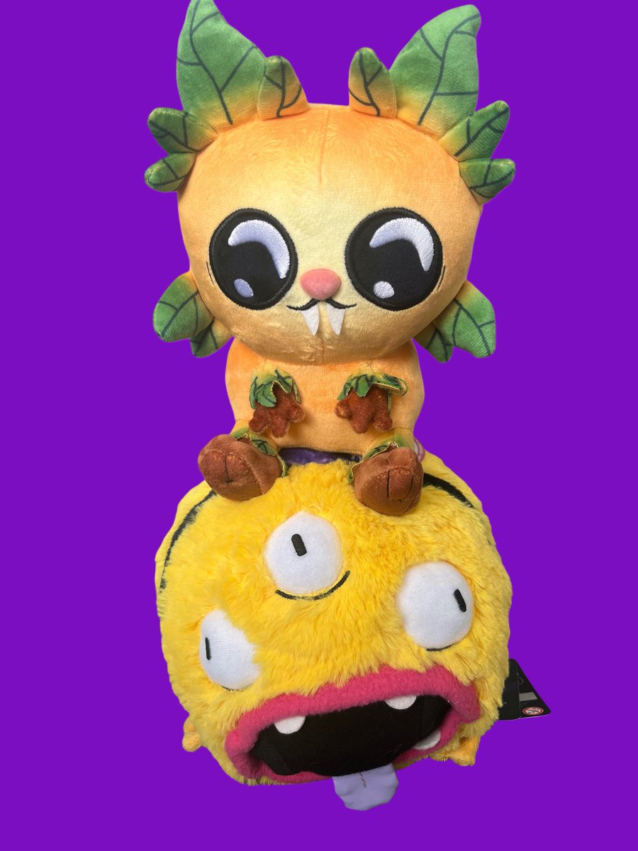 KiraniPiebox's tweet image. Today, my adorable pipsqueak arrived! His hatch mate is stuck in customs 🥲
