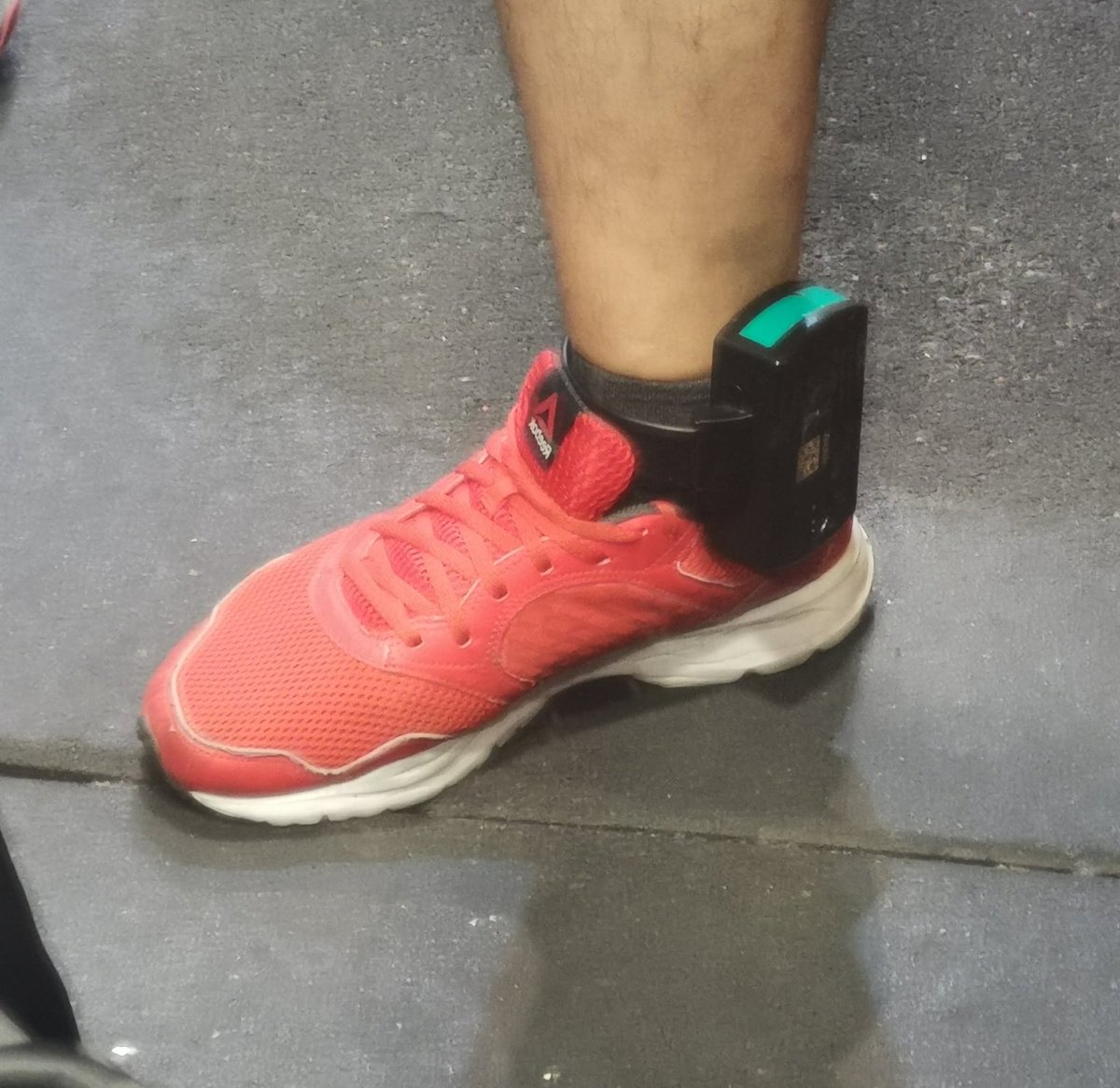 سگارو <a href="/iSegar0/">iSegar0 || سگارو</a> که به خاطر تلاش برای دسترسی آزاد میلیون‌ها ایرانی به اینترنت ماه‌ها توی زندون بود و بعد با پابند آزاد شد، فقط دنبال راه افتادن کار خودش نبود، بلکه قدمی بزرگ برای احقاق حقوق مردمی برداشت که حکومت با فیلتر کردن #اینترنت از اونا سلب میکرد. توی همین گیر و دار زندون هم