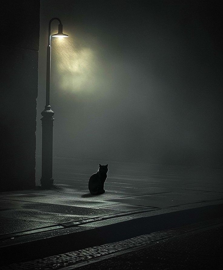 𝙈𝙖𝙟𝙖 𝙎𝙚𝙣𝙙𝙖  (@majasenda) on Twitter photo 