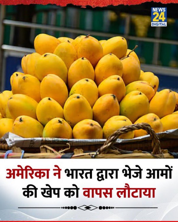 SirKazam's tweet photo. Mango rukwa diye papa! https://t.co/9zisD1dtD6