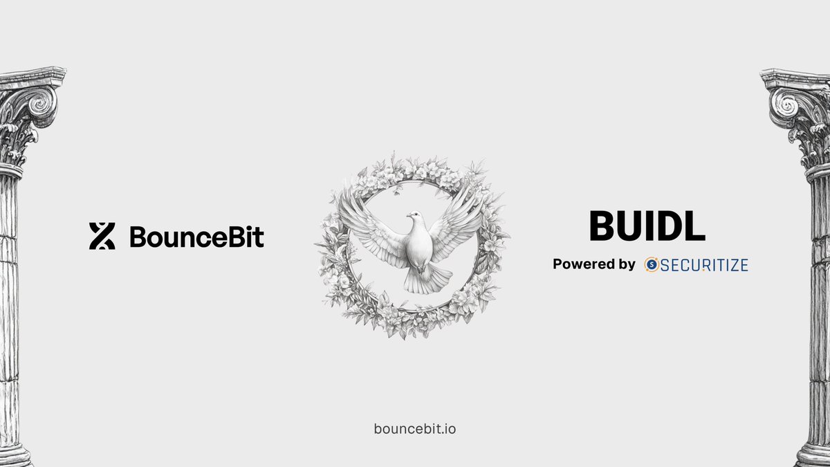 BounceBit中文♣️ tweet media