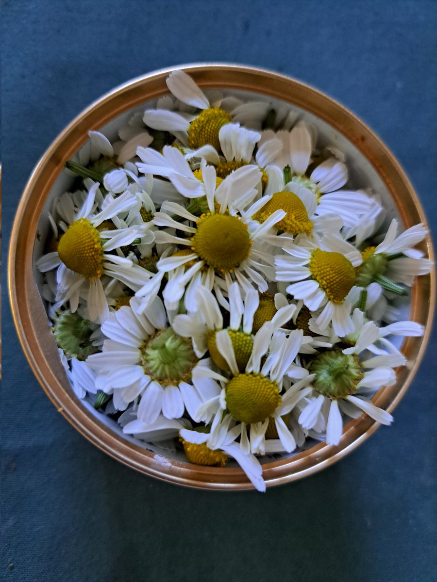 Maritha Andersen tweet media