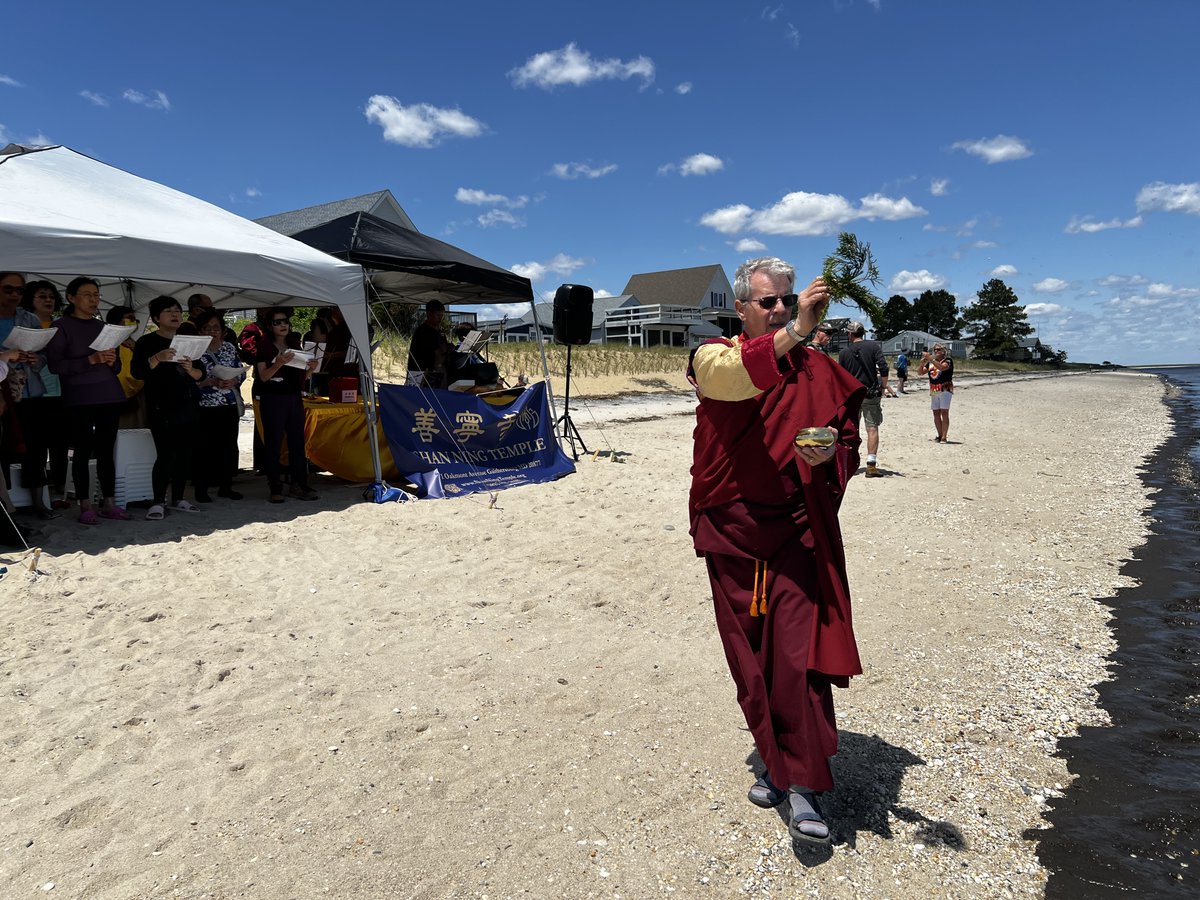 ERDGglobal's tweet photo. 15th Annual Buddhist Horseshoe Crab Rescue and Blessing Dharma Assembly

On June 18, ERDG & Shan Ning Temple gathered to bless, rescue, and honor the ancient horseshoe crab—and all living beings.

Each spring, many are stranded upside-down, unable to right themselves.
A simple act of reverence and compassion.

🌊 https://t.co/n8bJBaTQkQ
#JustFlipEm™ #HorseshoeCrab #ERDG #Buddhism #Conservation #PickeringBeach