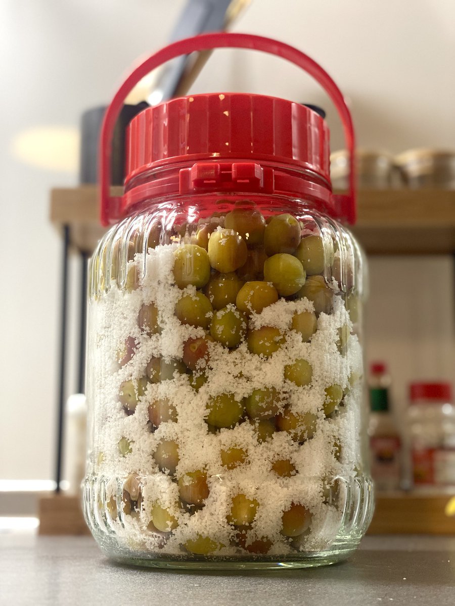 小梅2キロを漬けました。小梅の方が気軽に食べやすく、お裾分けもしやすいサイズで重宝します。塩分濃度は18%くらい。