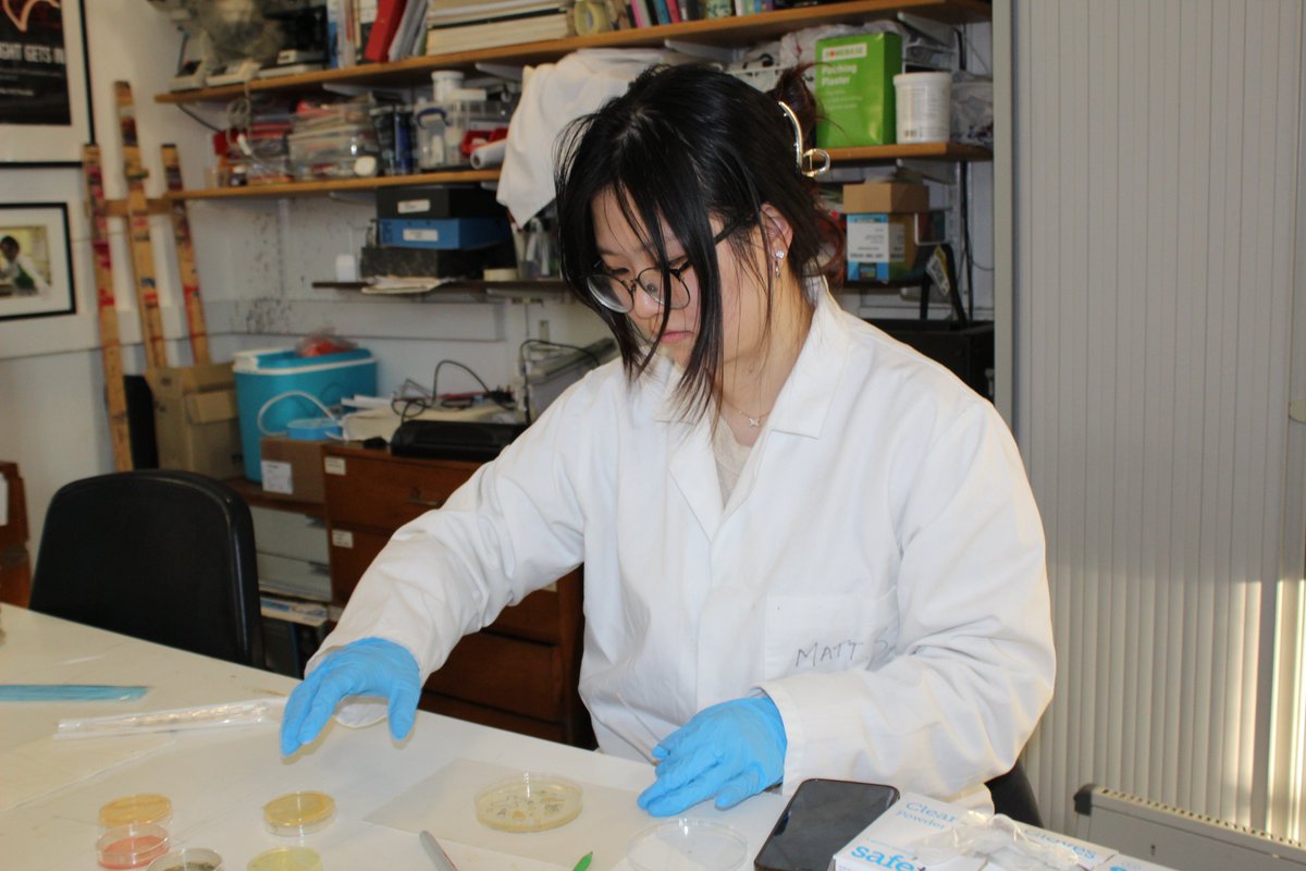 ASCUS Art & Science tweet media