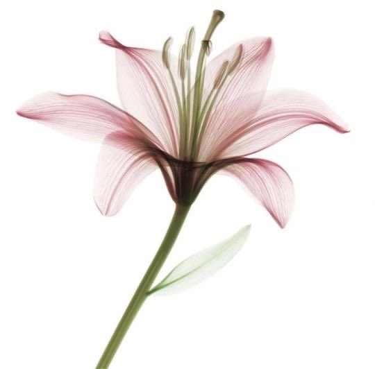 prtygal777's tweet image. 