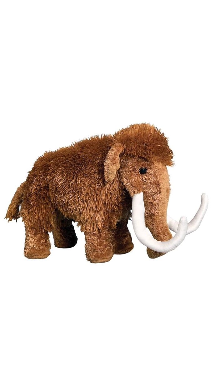 We will be doing at Mammoth Giveaway at 250 followers‼️ No better way to kick off the new team name!! Name will be drawn once we hit that 250 Follower mark!! #tusksup 

How to enter:
• Follow
• Like 
• Repost (extra entry)