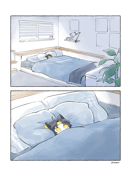 🛏️ 
