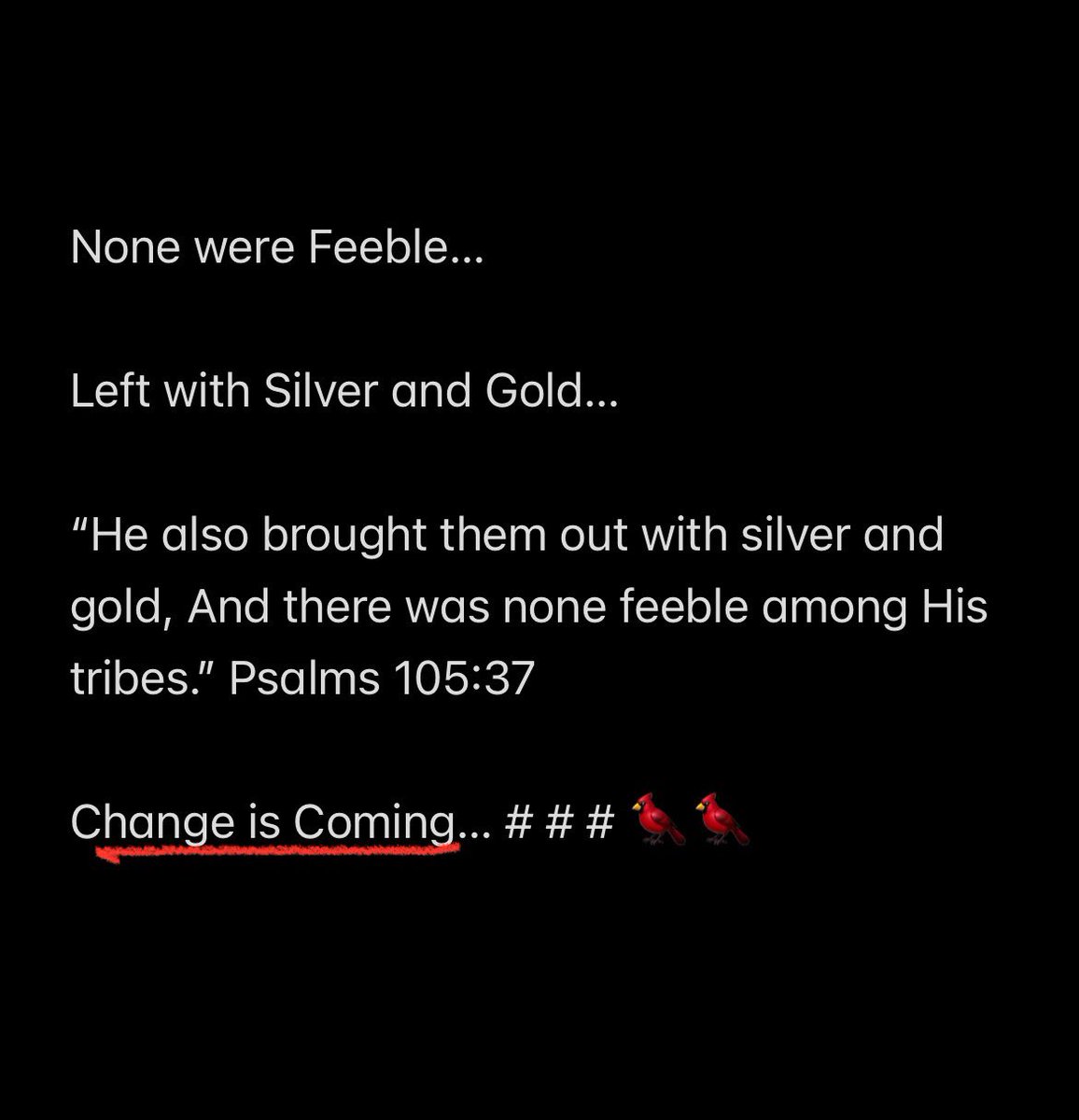 SaltNLight2024's tweet photo. It has begun… Let’s Go!! 

#Covenant #God #KingJesus #King #Lord #MostHighGod #Salt #Light #RedCardinal #Cardinal #Reset #Rebirth #NewDay #New #NewBegennings #Victory #HerosofFaith #Faith #Family #HolySpirit #Freedom #Free #1717 
#89 #711 #Ararat #Ark #Restoration #AllThings #Spoils #Rewards
#Christmas #MerryChristmas