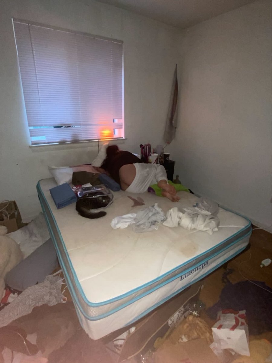 tranchdip's tweet photo. Room Reveal https://t.co/fvd4CEqdas