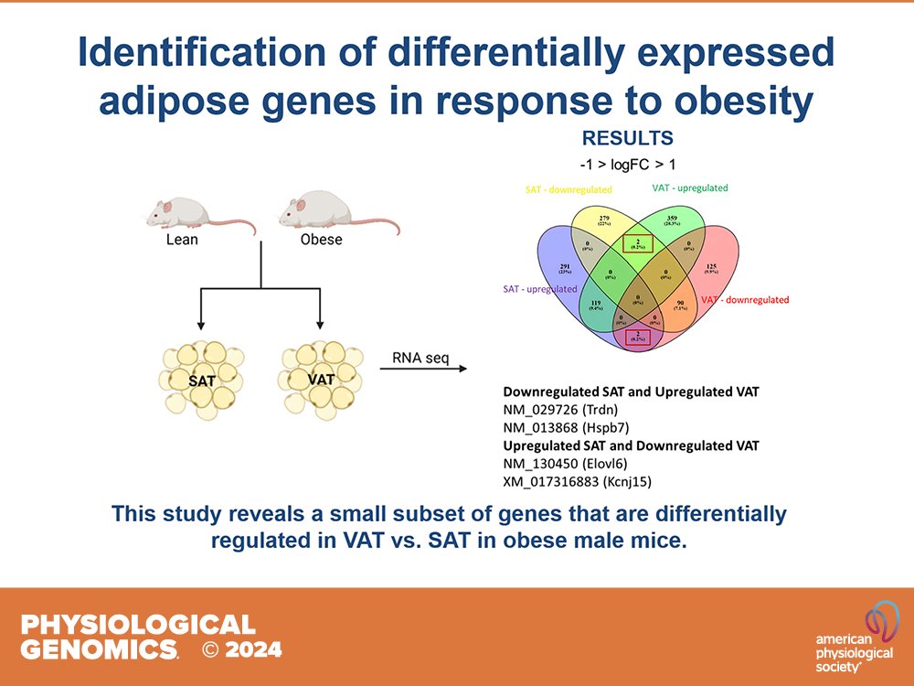 Physiological Genomics (@physiologicalg) on Twitter photo 🎙️🎧A new APS Publications Podcast episode featuring <a href="/fancherlab/">Vascular Ion Channel Research Lab</a> is now available at ow.ly/TwQi50VSSy5. Read this #APSselect article at ow.ly/b4Tj50VSSy3. 🎙️🎧A new APS Publications Podcast episode featuring <a href="/fancherlab/">Vascular Ion Channel Research Lab</a> is now available at ow.ly/TwQi50VSSy5. Read this #APSselect article at ow.ly/b4Tj50VSSy3.