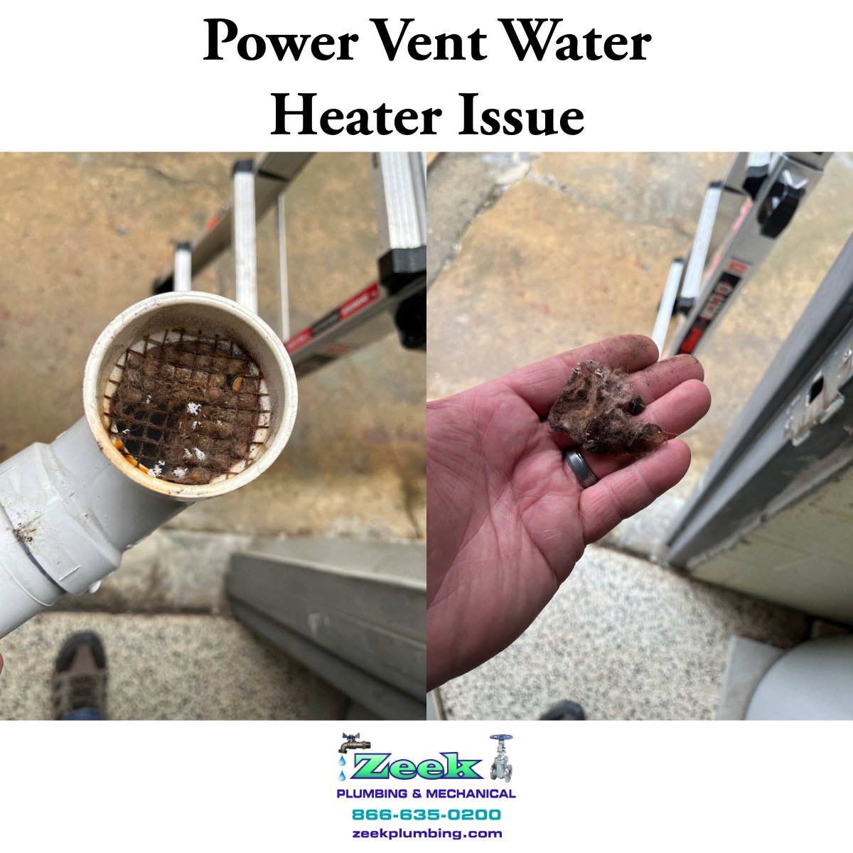 A customer of ours that we installed a power vent water heater a couple years ago called with some issues with the water heater. The issue was the dog hair was being pulled into the vent and clogged the venting of the unit. We removed the hair, and the unit works perfectly again!