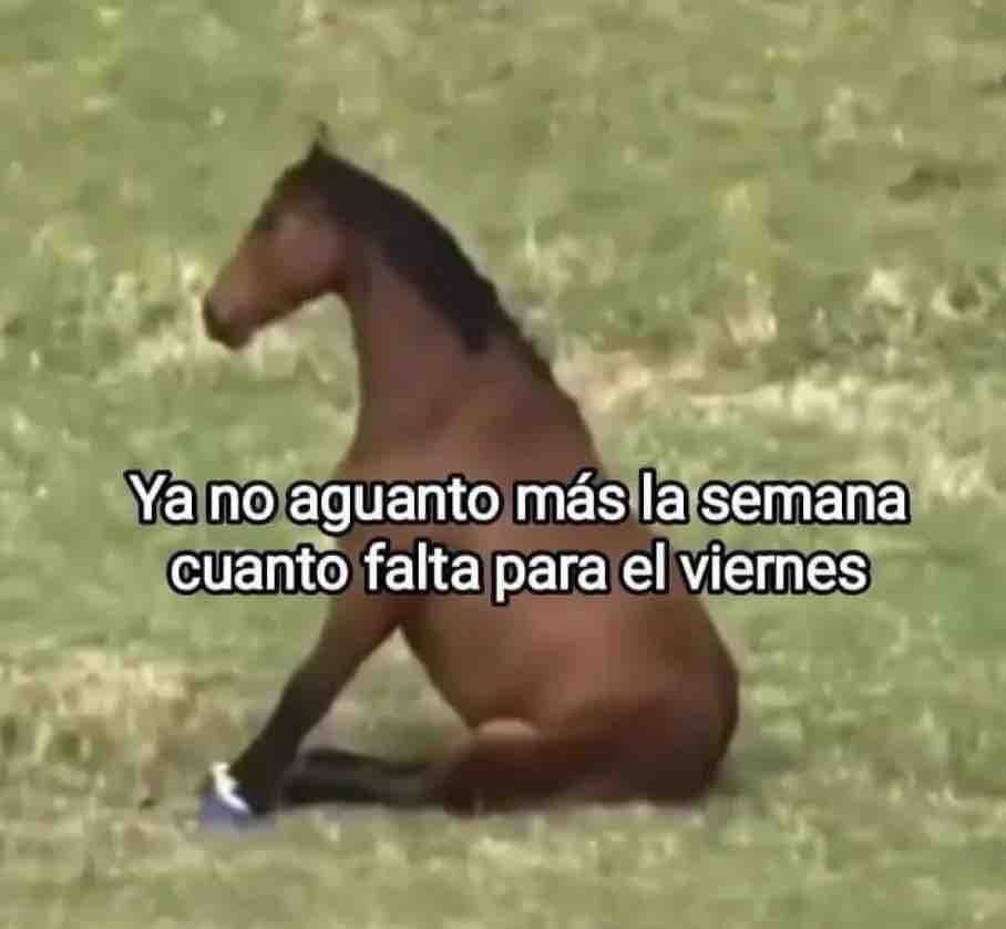 LetrasVirales🛸 (@letrasvirales) on Twitter photo 
