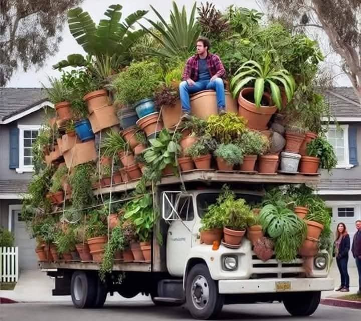 Au printemps quand tu reviens de chez Jardiland.