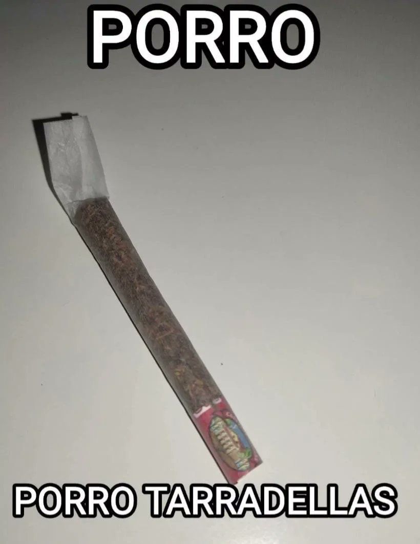 chincheto pirata somali (@wikipistacho) on Twitter photo 