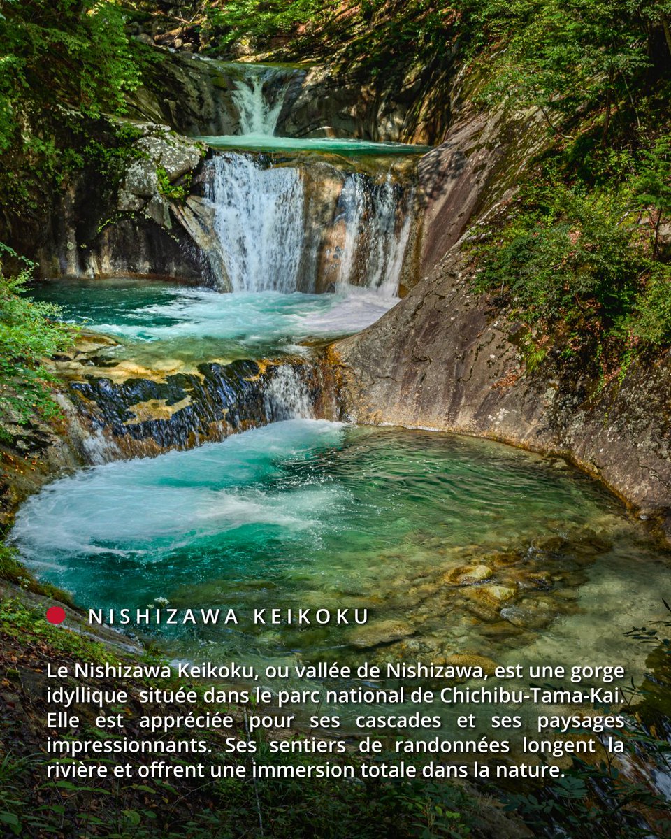 JPExperience_FR's tweet photo. 👉 Faites défiler pour découvrir quelques idées de sorties nature à l’ouest de Tokyo.
#JapanExperience #NatureJapon #TokyoNature #EscapadeTokyo #RandonnéeJapon #VoyageJapon #OuestTokyo #AirPur #WeekendNature https://t.co/MZyDy0doiX