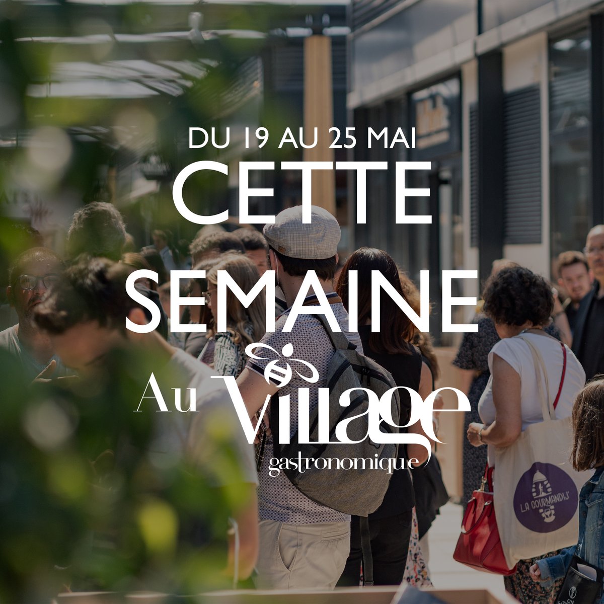 Village Gastronomique tweet media