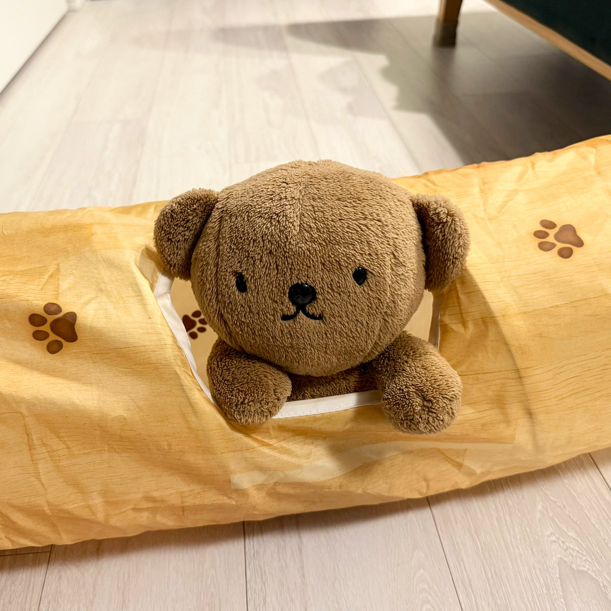 BorisPori's tweet image. 猫さんとの暮らし( ・ᴥ・ )🐈🐈