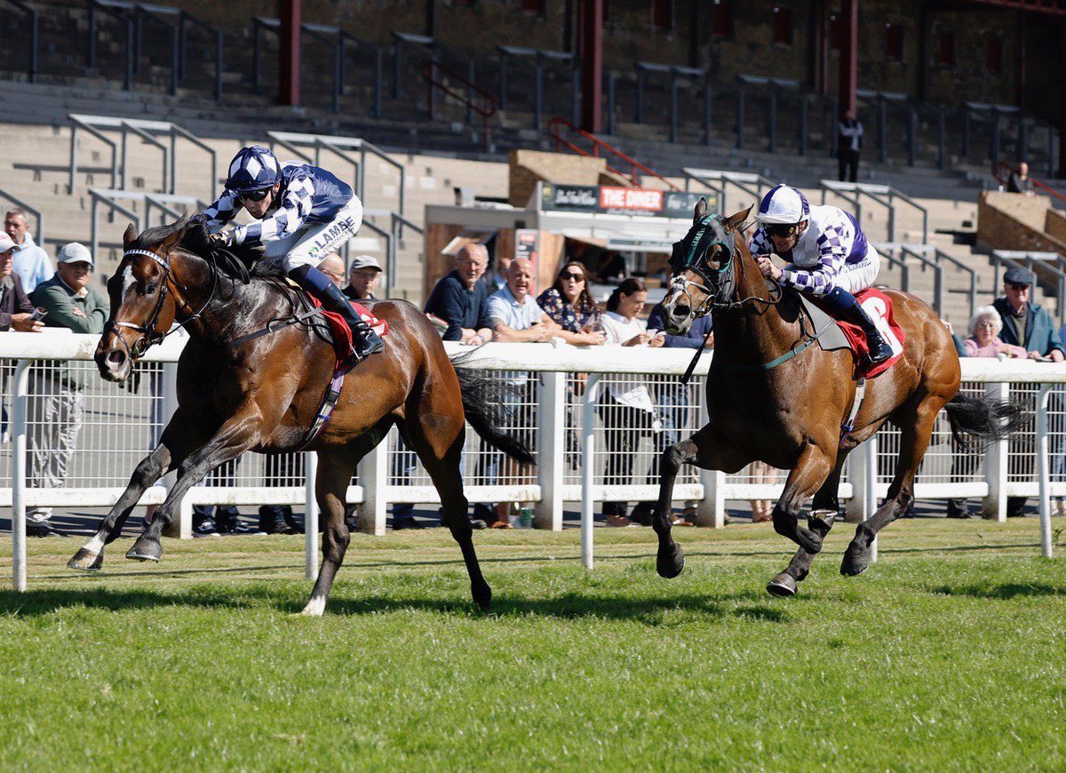 CADARN wins again <a href="/Redcarracing/">Redcar Racecourse</a> under <a href="/loughnane_billy/">Billy Loughnane</a> - well done to Roger Peel