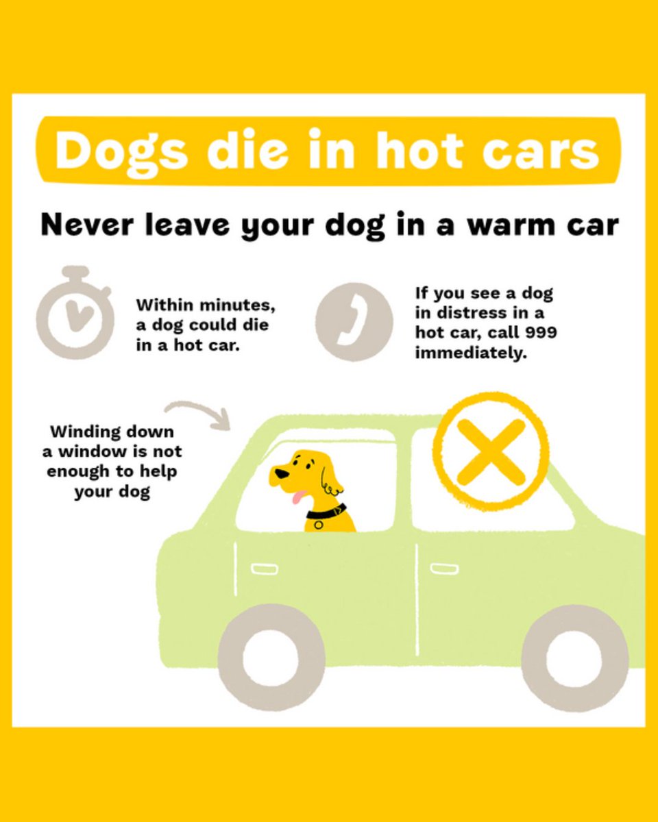 DT_Dundee_'s tweet image. ☀️ Hot weather is here, and dogs need extra care 🐶

💧 Shade and water always
🔥 Do the 5-second tarmac test
🚗 Never leave dogs in cars
🌡️ Know the signs of heatstroke
🌊 Stay safe at the seaside

Let’s keep tails wagging all summer!

@DogsTrust #DogSafety #HeatstrokeAwareness