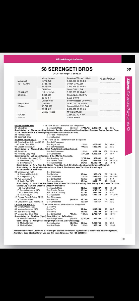 This friday 23th May. Elitauktion Solvalla.
Serengeti Bros 🇸🇪 (Maharajah- Glayva Bros - Cantab Hall)
Halfbrother to Olivia Bros (1.10,7 Sek 2.215.500). Winner Breeders Course Final, Margeretas Unghästserie &amp; Sweden International Yearlingsale. 2nd E3 Final &amp; Uttagning Svensk Oaks