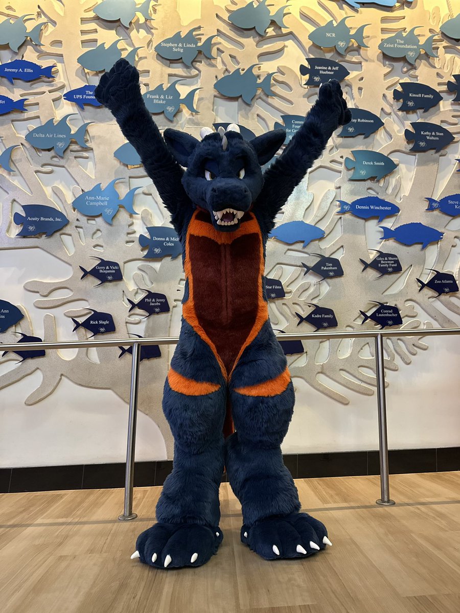 Look at all these fish!