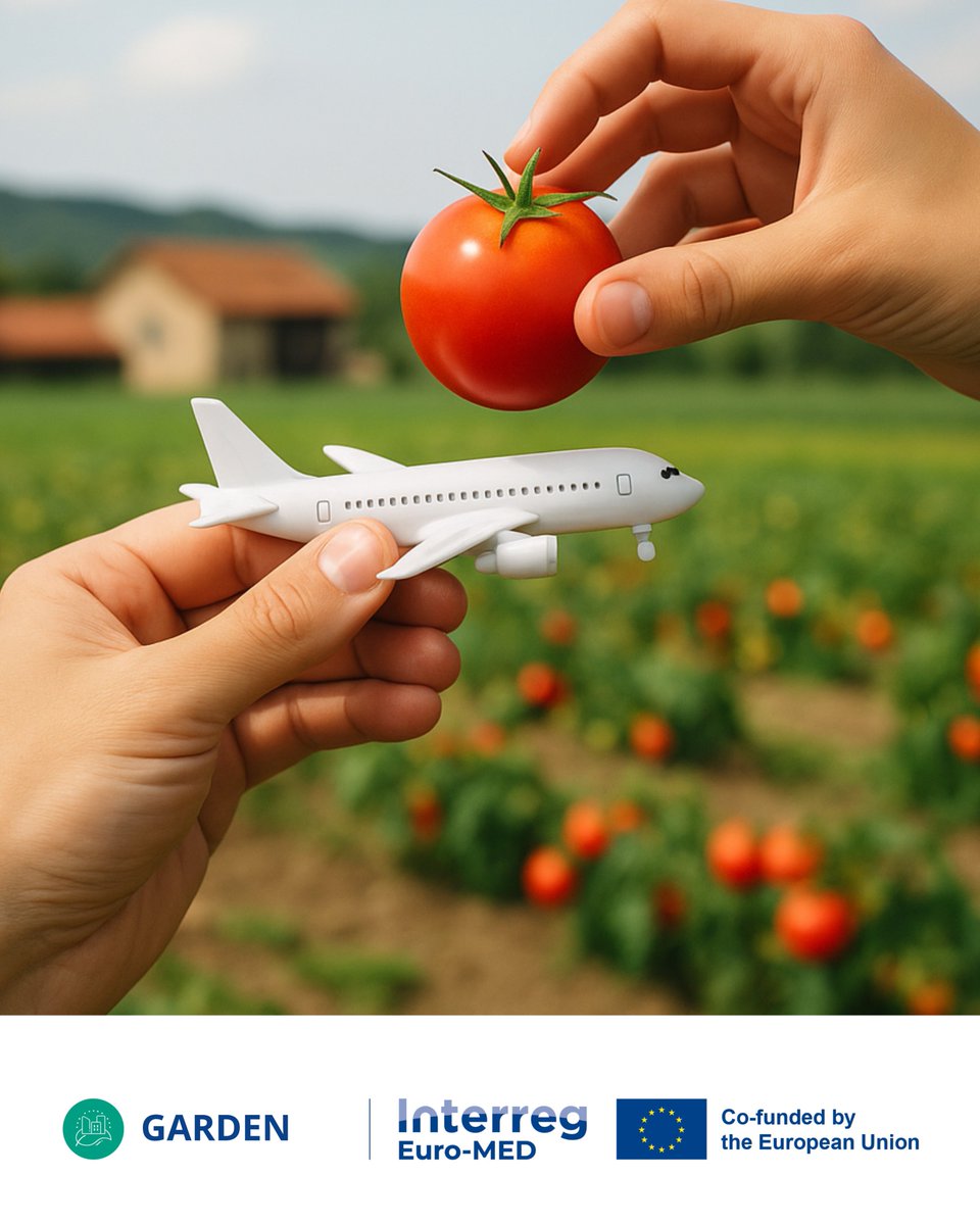 🍅 Some tomatoes have a passport.
They fly, drive, and pollute — just to reach your plate.
Meanwhile, the same tomato grows 20 km away.
Fresh. Local. Emission-free.

Let’s rethink food logistics.
#GreenLogisticsMonday #LocalFood #ShortSupplyChains