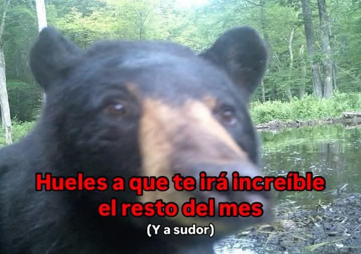 carmeliiru's tweet image. Buenos días muchachos. Que sea una muy buena semana para toda la podebanda  #PoderosoVuelaAlto