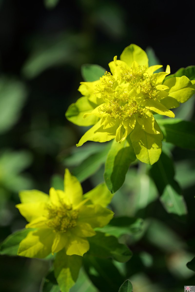 Susanna_Point_Photos (@point_photos) on Twitter photo 