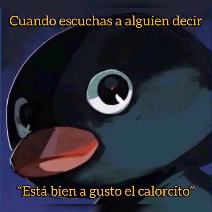 elRubsRamone's tweet image. #PoderosoVuelaAlto
Wenos días powerosos @ruleiro @eltalcha