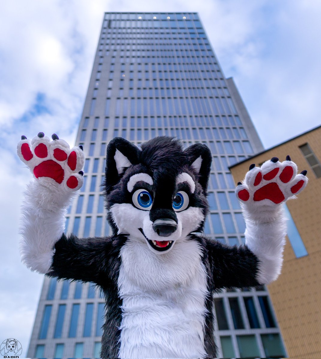 Arrararar ...
📸 <a href="/RapidtheHusky/">Rapid</a>
