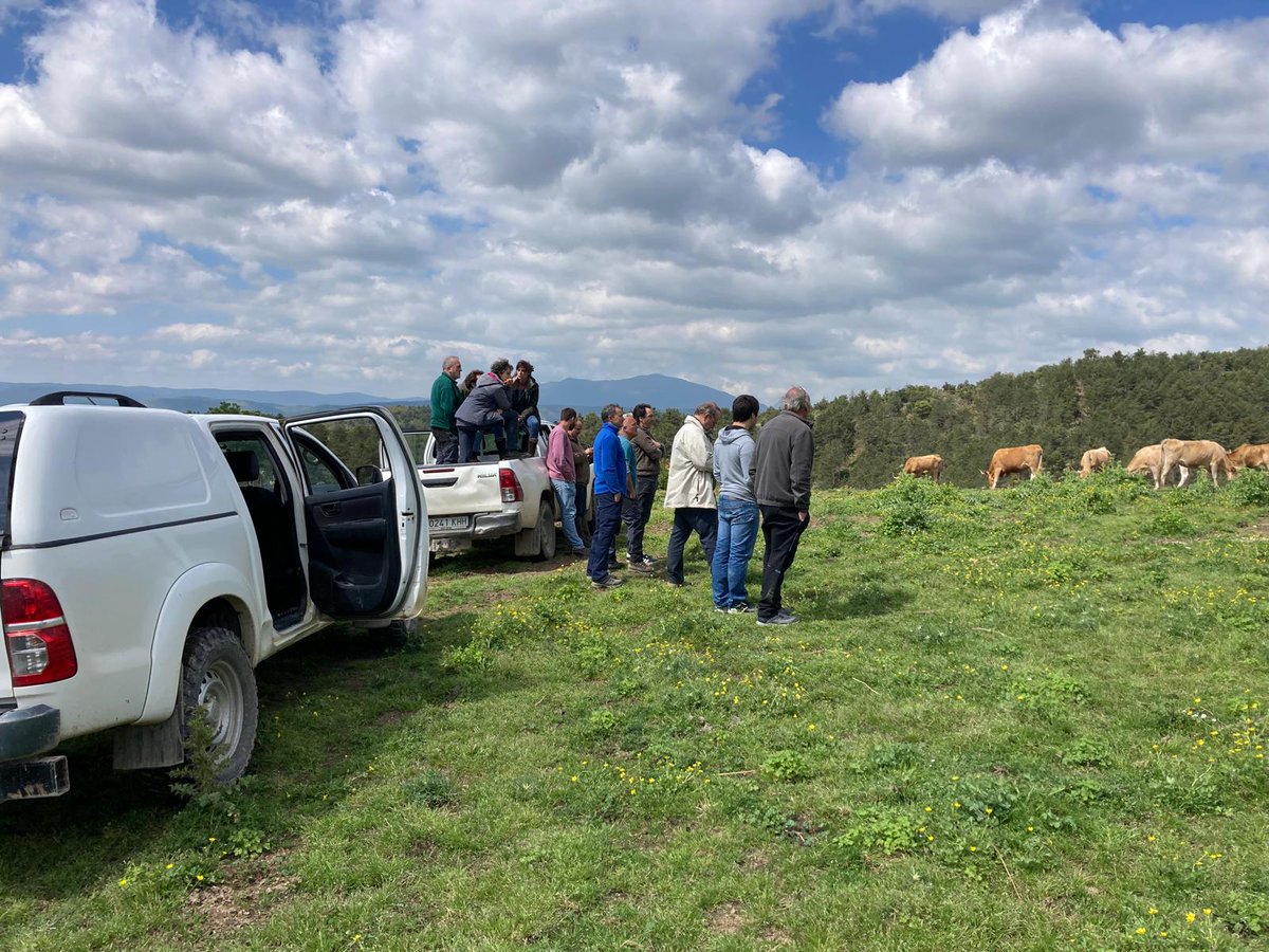 IntiaSa's tweet image. 🐂📸📸Visita a la Finca de Conservación y Selección de la Raza de #INTIA en #Sastoia en el taller del proyecto  #Abena de @Euroregion_naen sobre la vaca #betizu con Conservatoire des Races d'Aquitaine y #Lurgintza
👀Conociendo la situación de la vaca #Betizu en Navarra