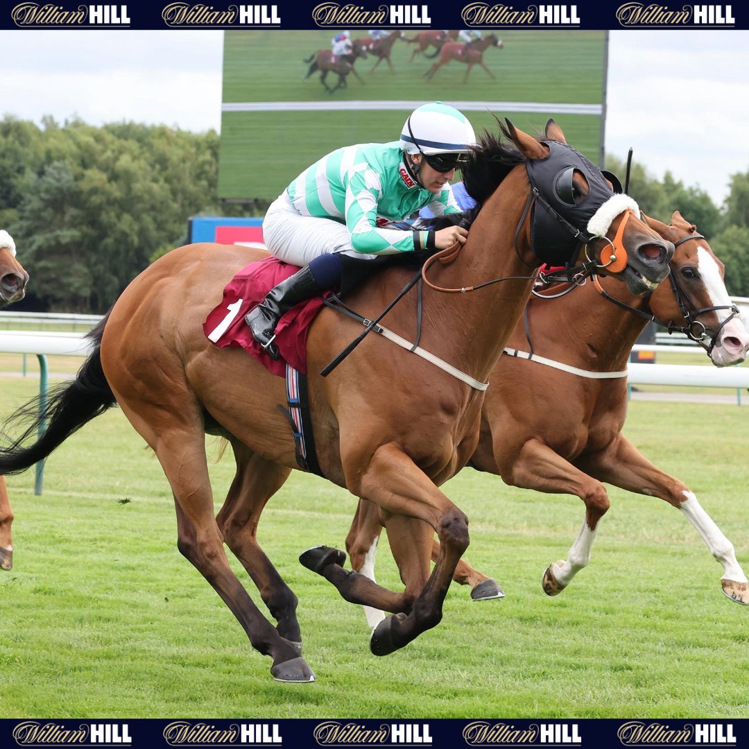 William Hill Racing (@willhillracing) on Twitter photo Show some β€οΈ for <a href="/omeararacing/">David O'Meara</a>'s Muscika!
β 11 years-old
π¨ 129 runs
π₯ 18 wins
π° Β£207,720 in total earnings
π³πππππ
ππ πππ π΅ππππ. Show some β€οΈ for <a href="/omeararacing/">David O'Meara</a>'s Muscika!
β 11 years-old
π¨ 129 runs
π₯ 18 wins
π° Β£207,720 in total earnings
π³πππππ
ππ πππ π΅ππππ.