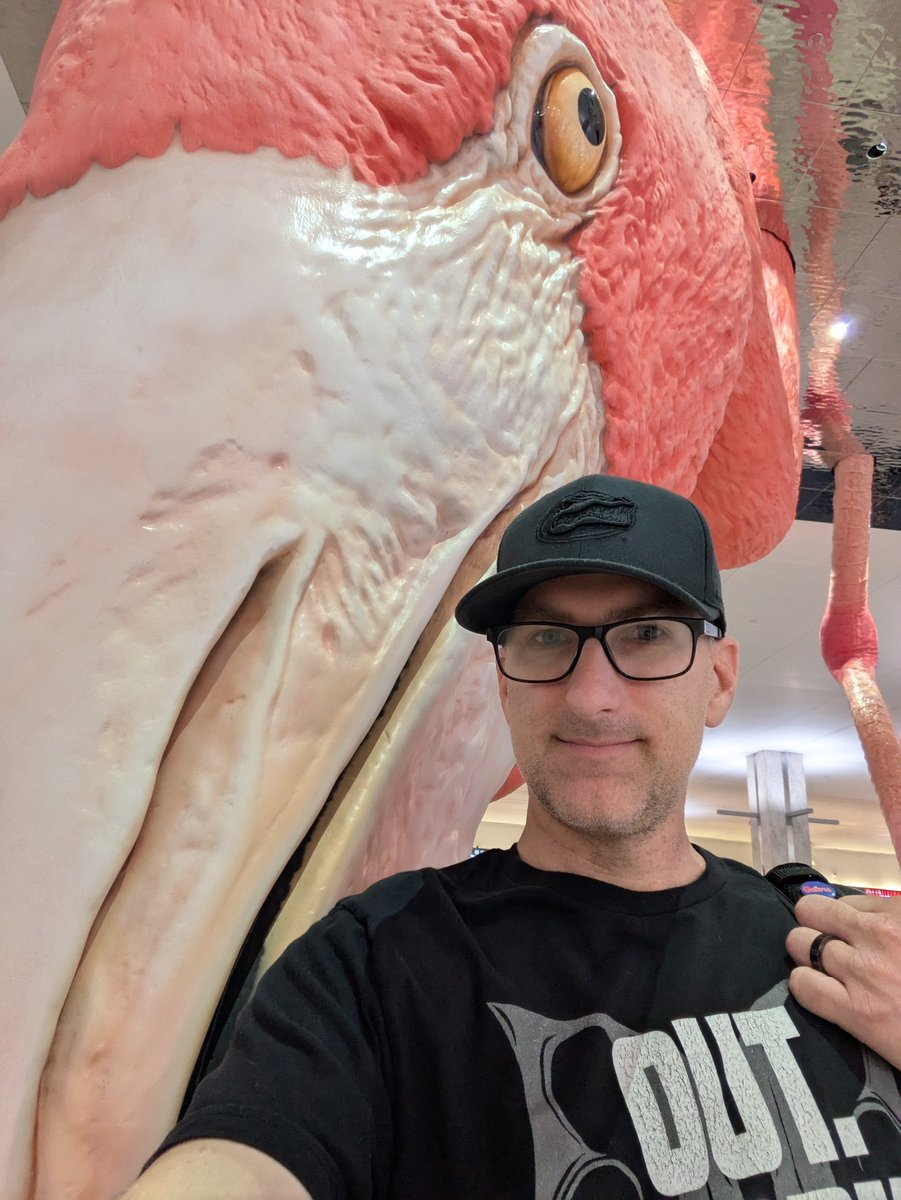 KevinCrowsyn's tweet photo. ✈️ Off to Pittsburgh for National Association of Government Communicators Communication School! 

I am excited to be a presenter, and to network with everyone! 

The Tampa flamingo is my favorite airport attraction, but I am biased! 
🦩🌴

@NAGC #CommsSchool2025 #NAGC https://t.co/Pj6PEqKzJ6