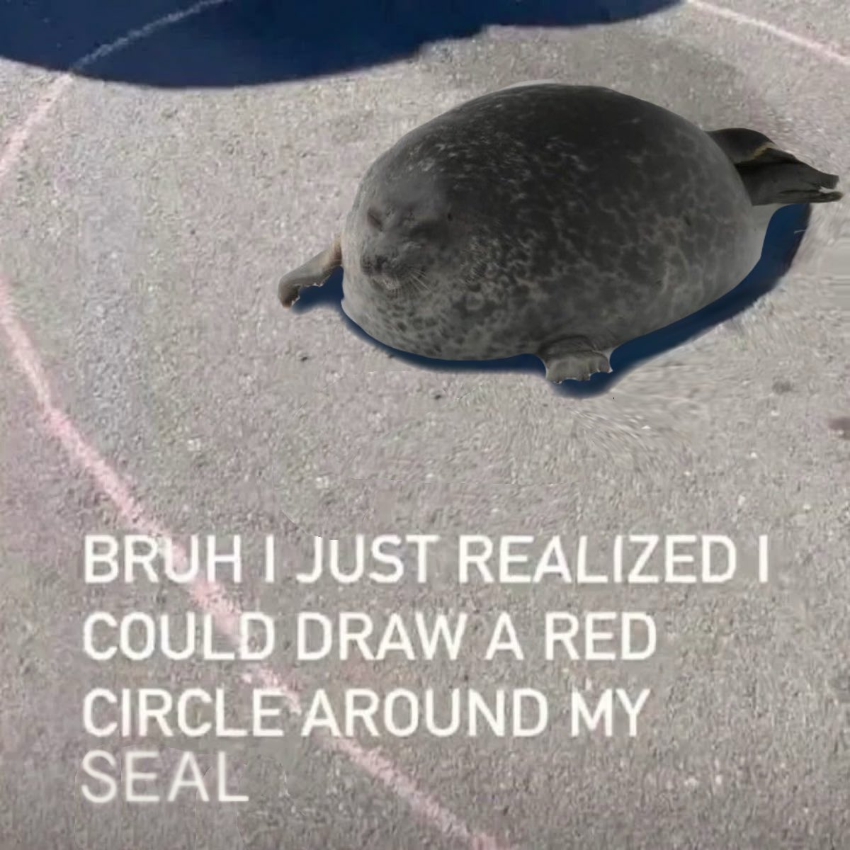 100 Gecs Lyric Bot (@100gecslyricbot) on Twitter photo 
