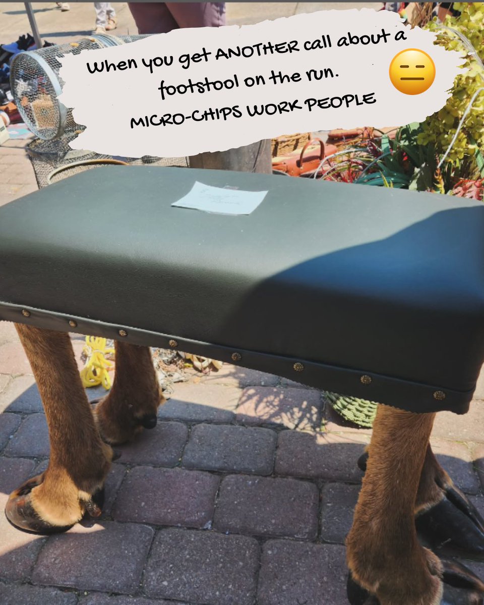 Ordinance No 45-764. All sentient magical items MUST be microchipped!

#apromiseofsirens #urbanfantasy #fantasy #lgbtqbooks #debutbook #newauthor #WritingCommunity #Detroit #preorder