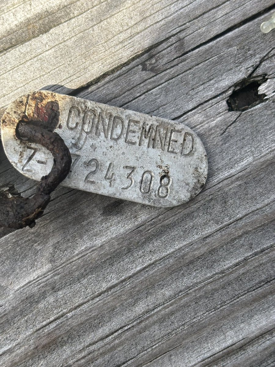 ladydatadork's tweet photo. They say if you feed birds they will bring you a gift… I’m not sure if this is a gift, death sentence, or a haunting warning… 

help me identify this! 

#condemned #treasureisland #help #identify https://t.co/ubcE4qtEQX