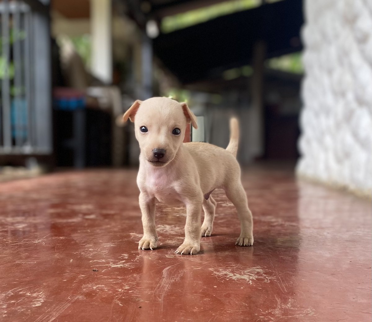La foto oficial de Matías ❤️🐶🥰🐾