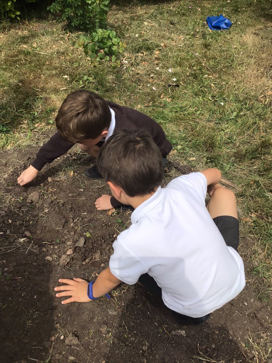 Y2Gayton's tweet photo. Busy planting out and getting our school allotment ready this afternoon. We are so excited to see how well our fruit and vegetables grow in the weeks to come.@GaytonPrimary https://t.co/amhEH78ItG