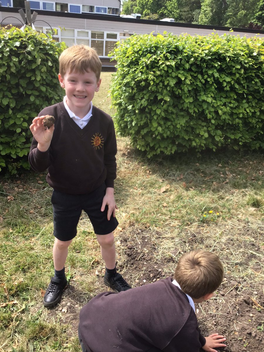 Y2Gayton's tweet photo. Busy planting out and getting our school allotment ready this afternoon. We are so excited to see how well our fruit and vegetables grow in the weeks to come.@GaytonPrimary https://t.co/amhEH78ItG