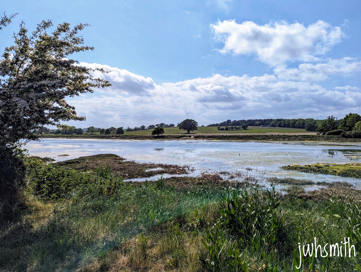 Lovely levington #suffolk