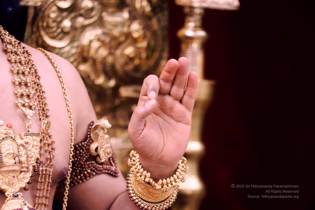SriNithyananda's tweet photo. 19 MAY 2025 - LIVE DARSHAN WITH THE SUPREME PONTIFF OF HINDUISM (SPH) BHAGAVAN SRI NITHYANANDA PARAMASHIVAM. #Nithyananda #KAILASA https://t.co/Q3CY8cFEWj