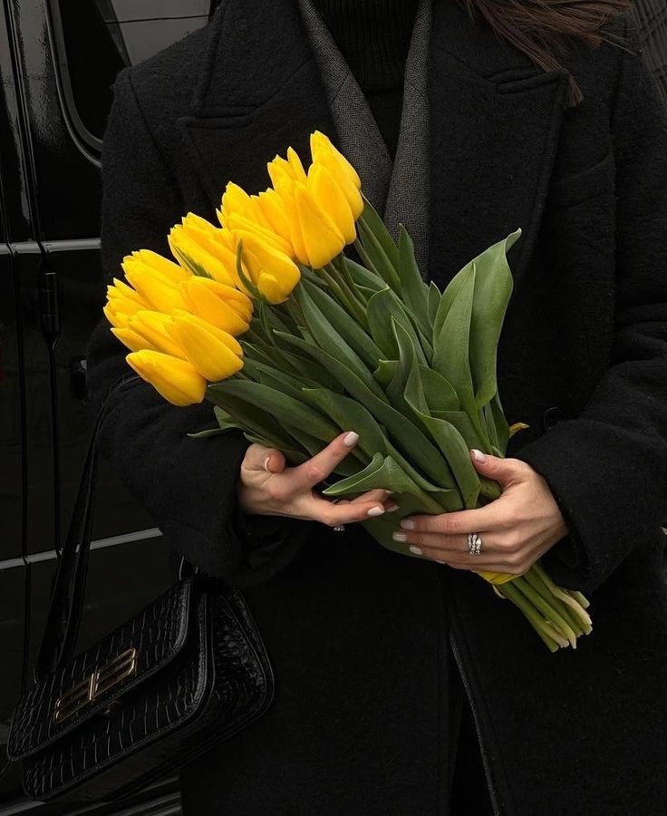 Only Tulips (@tutututututulip) on Twitter photo 