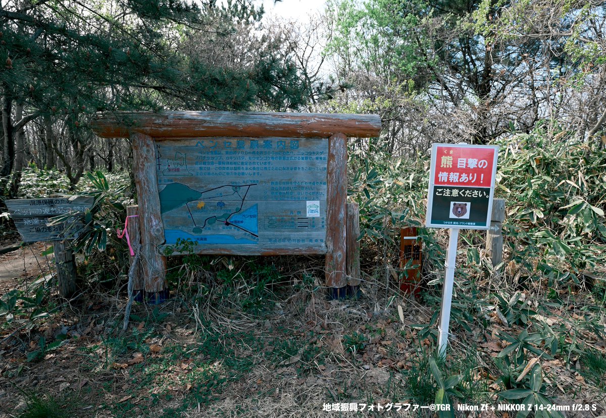TKen5_UPC's tweet photo. 青森県浪岡でも熊の目撃情報が出ているようですね🐻
皆さんもお気をつけください😖
（写真はつがる市）

#青森県 #つがる市 https://t.co/iUq1asiMgA