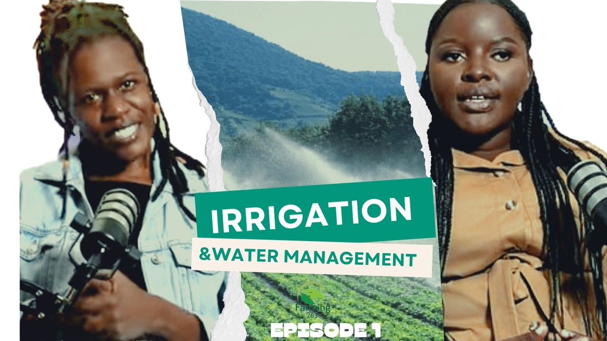 Farming_263 tweet media