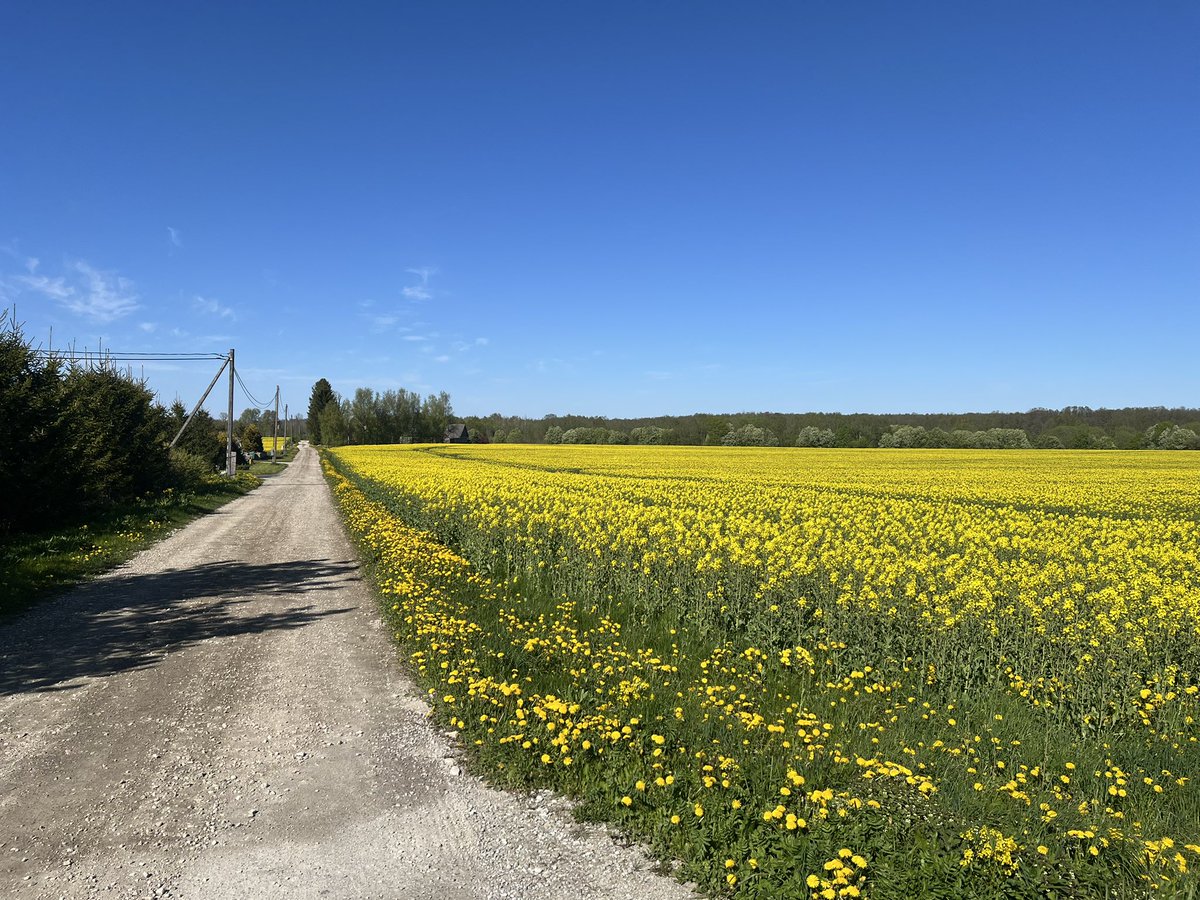 joebell_'s tweet image. Living in the countryside is a life cheat code