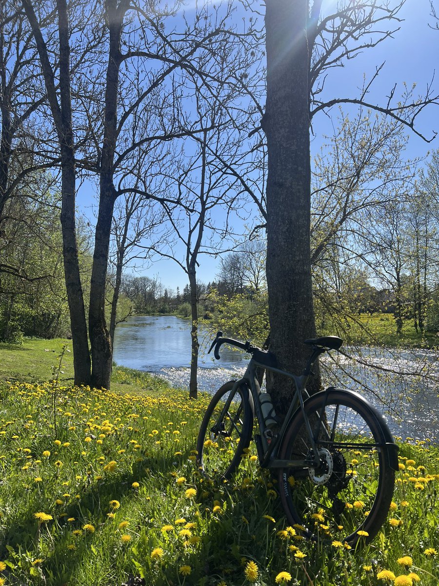 joebell_'s tweet image. Living in the countryside is a life cheat code